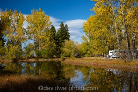 autuminal;autumn;autumn-colour;autumn-colours;autumnal;calm;Canterbury;color;colors;colour;colours;deciduous;fall;gold;golden;leaf;leaves;Mackenzie-Country;Mackenzie-District;New-Zealand;NZ;placid;pond;ponds;poplar;poplar-tree;poplar-trees;poplars;quiet;reflected;reflection;reflections;S.I.;season;seasonal;seasons;serene;SI;smooth;South-Canterbury;South-Is;South-Island;Sth-Is;still;tranquil;tree;trees;Twizel;water;yellow