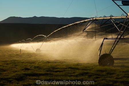 agicultural-machine;agricultural;agriculture;automatic-irrigation;Canterbury;centre-pivot-irrigation;countryside;cultivation;farm;farm-equipment;farm-implements;farm-machinery;farming;farmland;farms;field;fields;grow;growing;irrigate;irrigated-land;irrigation;irrigation-equipment;irrigation-scheme;irrigator;light;machine;machines;Mackenzie-Country;Mackenzie-District;Mackenzie-Region;meadow;meadows;mobile-irrigation;N.Z.;New-Zealand;NZ;paddock;paddocks;pasture;pastures;pivoting-boom-irrigation;resource;rotary-irrigation;rural;S.I.;SI;South-Canterbury;South-Is;South-Island;spray;sprays;sprinkers;sprinkler;Sth-Is;Sth-Is.;Twizel;water