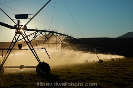 agicultural-machine;agricultural;agriculture;automatic-irrigation;Canterbury;centre-pivot-irrigation;countryside;cultivation;farm;farm-equipment;farm-implements;farm-machinery;farming;farmland;farms;field;fields;grow;growing;irrigate;irrigated-land;irrigation;irrigation-equipment;irrigation-scheme;irrigator;light;machine;machines;Mackenzie-Country;Mackenzie-District;Mackenzie-Region;meadow;meadows;mobile-irrigation;N.Z.;New-Zealand;NZ;paddock;paddocks;pasture;pastures;pivoting-boom-irrigation;resource;rotary-irrigation;rural;S.I.;SI;South-Canterbury;South-Is;South-Island;spray;sprays;sprinkers;sprinkler;Sth-Is;Sth-Is.;Twizel;water