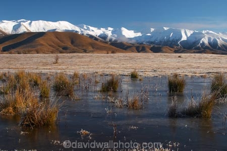 golden;mountains;mountain;ranges;range;grass;farm;farming;farms;farmland;paddock;paddocks;field;fields;pasture;pastures;meadow;meadows;agriculture;agricultural;ice;icy;rural;ben-ohau-range;mackenzie-country;twizel;south-island;cold;winter;puddle;snow;snowy;middle-earth;lord-of-the-rings;lotr;pellanor-fields;pelannor-fields;pelanor;pellannor