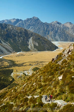 alpine;Aoraki-Mount-Cook-N.P.;Aoraki-Mount-Cook-National-Park;Aoraki-Mount-Cook-NP;Aoraki-N.P.;Aoraki-National-Park;Aoraki-NP;camp;camp-ground;camp-site;campground;campsite;Canterbury;hiker;hikers;hiking-path;hiking-paths;hiking-trail;hiking-trails;M.R.;Mackenzie-Country;Mackenzie-District;Mackenzie-Region;model-release;model-released;Mount-Cook-N.P.;Mount-Cook-National-Park;Mount-Cook-NP;Mount-Cook-Village;mountain;mountains;MR;Mt-Cook-N.P.;Mt-Cook-National-park;Mt-Cook-NP;Mt-Cook-Village;N.Z.;national-parks;New-Zealand;NZ;path;paths;pathway;pathways;people;person;route;routes;S.I.;Sealy-Range;South-Is;South-Island;Southern-Alps;Sth-Is;track;tracks;trail;trails;tramper;trampers;tramping-trail;tramping-trails;view;walker;walkers;walking-path;walking-paths;walking-trail;walking-trails;walkway;walkways;White-Horse-Hill;White-Horse-Hill-Camp-Ground;White-Horse-Hill-Camp-Site;White-Horse-Hill-Camping-Area