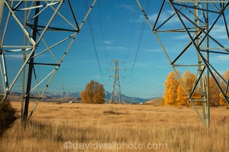 autuminal;autumn;autumn-colour;autumn-colours;autumnal;color;colors;colour;colours;deciduous;electricity;electricity-distribution;electricity-line;electricity-lines;electricity-pylon;electricity-pylons;electricity-transmission;energy;fall;gold;golden;high-tension-lines;industrial;leaf;leaves;line;lines;Mackenzie-Country;Mackenzie-District;Mackenzie-Region;N.Z.;national-grid;New-Zealand;North-Otago;NZ;Otago;pole;poles;post;posts;power;power-cable;power-cables;power-distribution;power-line;power-lines;power-pole;power-poles;power-pylon;power-pylons;pylon;pylon-line;pylon-lines;pylons;season;seasonal;seasons;South-Is;South-Island;tower;towers;transmission-line;transmission-lines;tree;trees;Twizel;Waitaki-District;Waitaki-Region;wire;wires;yellow;polarised;polarized