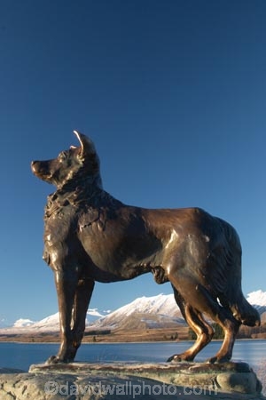 sky;lake;lakes;mountain;mountains;mckenzie;tekapo;lake-tekapo;south-island;new-zealand;fine;snow;mackenzie;mackenzie-country;two-thumbs-range;sheep-dog;sheepdog;statue;collie;colliedog;collie-dog;dog;collie-cross;colliecross;collie_cross;sheep-dogs;sheepdogs;statues;collies;colliedogs;collie-dogs;dogs;collie-crosses;colliecrosses;collie_crosses;sculpture;sculptures