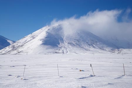 agricultural;agriculture;altitude;Canterbury;cloud;clouds;cold;country;countryside;farm;farming;farmland;farms;fence;fence-line;fence-lines;fence_line;fence_lines;fenceline;fencelines;fences;field;fields;fog;foggy;fogs;freeze;freezing;high-altitude;Mackenzie-Country;meadow;meadows;mist;mists;misty;mount;mountain;mountain-peak;mountainous;mountains;mountainside;mt;mt.;N.Z.;New-Zealand;NZ;paddock;paddocks;pasture;pastures;peak;peaks;range;ranges;rural;S.I.;season;seasonal;seasons;SI;snow;snow-capped;snow_capped;snowcapped;snowy;South-Canterbury;South-Is;South-Island;summit;summits;white;winter;wintery