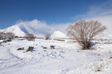 agricultural;agriculture;altitude;Canterbury;cloud;clouds;cold;country;countryside;farm;farming;farmland;farms;fence;fence-line;fence-lines;fence_line;fence_lines;fenceline;fencelines;fences;field;fields;fog;foggy;fogs;freeze;freezing;high-altitude;Mackenzie-Country;meadow;meadows;mist;mists;misty;mount;mountain;mountain-peak;mountainous;mountains;mountainside;mt;mt.;N.Z.;New-Zealand;NZ;paddock;paddocks;pasture;pastures;peak;peaks;range;ranges;rural;S.I.;season;seasonal;seasons;SI;snow;snow-capped;snow_capped;snowcapped;snowy;South-Canterbury;South-Is;South-Island;summit;summits;white;willow;willow-tree;willow-trees;willows;winter;wintery