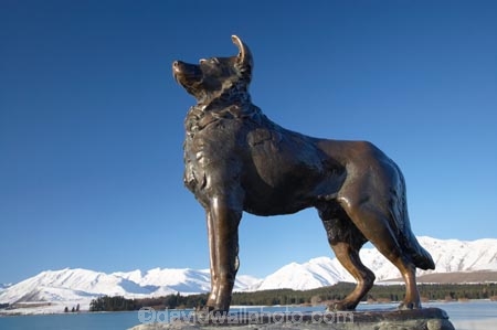 altitude;Canterbury;cold;collie;collie-cross;collie-crosses;collie-dog;collie-dogs;collie_cross;collie_crosses;colliecross;colliecrosses;colliedog;colliedogs;collies;dog;dogs;fine;freeze;freezing;lake;lake-tekapo;lakes;mackenzie;mackenzie-country;mckenzie;mount;mountain;mountain-peak;mountainous;mountains;mountainside;mt;mt.;N.Z.;New-Zealand;NZ;peak;peaks;range;ranges;S.I.;sculpture;sculptures;season;seasonal;seasons;sheep-dog;sheep-dogs;sheepdog;sheepdogs;SI;sky;snow;snow-capped;snow_capped;snowcapped;snowy;South-Canterbury;South-Is;South-Island;statue;statues;tekapo;two-thumb-range;two-thumbs-range;white;winter;wintery