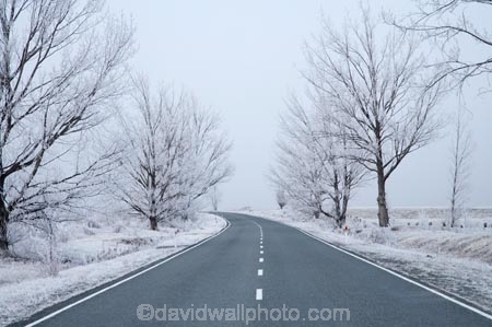 beautiful;bend;bends;calm;calmness;centre-line;centre-lines;centre_line;centre_lines;centreline;centrelines;Chill;Chilled;Chilly;clean;clear;cold;Coldness;Color;Colour;corner;corners;danger;Dangerous;Daytime;deciduous;driving;Exterior;extreme-weather;freeze;Freezing;freezing-fog;frost;Frosted;Frosty;frozen;high-country;highway;highways;hoar-frost;hoar-frosts;Hoarfrost;hoarfrosts;ice;ice-crystals;Ice_cold;icy;idyllic;Landscape;Landscapes;mackenzie;mackenzie-country;N.Z.;natural;Nature;New-Zealand;NZ;open-road;open-roads;Outdoor;Outdoors;Outside;peaceful;Peacefulness;phenomena;phenomenon;pure;Quiet;Quietness;rime;rime-ice;road;road-trip;roads;S.I.;Scenic;Scenics;season;seasonal;seasons;SI;silence;slippery;slippery-road;Snowy;South-Canterbury;South-Is;south-island;spectacular;stunning;tranquil;tranquility;transport;transportation;Transports;travel;Traveling;Travelling;Travels;tree;trees;Trip;Trips;Twizel;view;water;weather;White;winter;winter-driving;Winter-driving-conditions;Wintertime;wintery;wintry