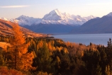 mountain;peak;mount-cook;color;colours;colors;trees;forest;snow;snow-covered;snow_covered;orange;autumnal;lake;lakes;slope;scenic;scenary;tourism;natural;spectacular;beauty;highest;mountains;southern-alps;main-divide