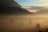Ben-Ohau;Canterbury;fog;foggy;fogs;Mackenzie-Country;Mackenzie-District;mist;mists;misty;morning;New-Zealand;NZ;S.I.;SI;South-Canterbury;South-Is;South-Island;Sth-Is