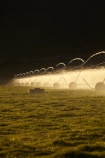 agicultural-machine;agricultural;agriculture;automatic-irrigation;Canterbury;centre-pivot-irrigation;countryside;cultivation;farm;farm-equipment;farm-implements;farm-machinery;farming;farmland;farms;field;fields;grow;growing;irrigate;irrigated-land;irrigation;irrigation-equipment;irrigation-scheme;irrigator;light;machine;machines;Mackenzie-Country;Mackenzie-District;Mackenzie-Region;meadow;meadows;mobile-irrigation;N.Z.;New-Zealand;NZ;paddock;paddocks;pasture;pastures;pivoting-boom-irrigation;resource;rotary-irrigation;rural;S.I.;SI;South-Canterbury;South-Is;South-Island;spray;sprays;sprinkers;sprinkler;Sth-Is;Sth-Is.;Twizel;water