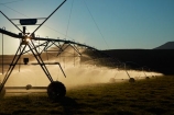 agicultural-machine;agricultural;agriculture;automatic-irrigation;Canterbury;centre-pivot-irrigation;countryside;cultivation;farm;farm-equipment;farm-implements;farm-machinery;farming;farmland;farms;field;fields;grow;growing;irrigate;irrigated-land;irrigation;irrigation-equipment;irrigation-scheme;irrigator;light;machine;machines;Mackenzie-Country;Mackenzie-District;Mackenzie-Region;meadow;meadows;mobile-irrigation;N.Z.;New-Zealand;NZ;paddock;paddocks;pasture;pastures;pivoting-boom-irrigation;resource;rotary-irrigation;rural;S.I.;SI;South-Canterbury;South-Is;South-Island;spray;sprays;sprinkers;sprinkler;Sth-Is;Sth-Is.;Twizel;water