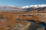 golden;mountains;mountain;ranges;range;grass;farm;farming;farms;farmland;paddock;paddocks;field;fields;pasture;pastures;meadow;meadows;agriculture;agricultural;frosty;frost;rural;ben-ohau-range;mackenzie-country;twizel;south-island;cold;winter;wintery;wintry;snow;snowy;middle-earth;lord-of-the-rings;lotr;pellanor-fields;pelannor-fields;pelanor;pellannor;stream;streams;brook-brooks;creek;creeks;river;rivers;fraser;black-hills;tree;trees;willow;willows;landscape;landscapes