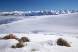 alp;alpine;alpine-resort;alpine-resorts;alpne;alps;altitude;Canterbury;cold;freeze;freezing;Hall-Range;high-altitude;Mackenzie-Country;mount;mountain;mountain-peak;mountainous;mountains;mountainside;mt;mt.;N.Z.;New-Zealand;NZ;peak;peaks;range;ranges;Round-Hill-Ski-Area;Round-Hill-Ski-Field;Roundhill-Ski-Area;Roundhill-Ski-Field;S.I.;season;seasonal;seasons;SI;ski;ski-field;ski-fields;ski-resort;ski-resorts;skifield;skifields;skiing;slope;slopes;snow;snow-capped;snow_capped;snowcapped;snowy;South-Canterbury;South-Is;South-Island;southern-alps;summit;summits;Tekapo-Ski-Area;Tekapo-Ski-Field;tussock;tussocks;Two-Thumb-Range;white;winter;winter-resort;winter-resorts;winter-sport;winter-sports;wintery