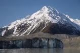 alp;alpine;alps;altitude;Aoraki-Mt-Cook-N.P.;Aoraki-Mt-Cook-National-Park;Aoraki-Mt-Cook-NP;Aoraki-Mt-Cook-N.P.;Aoraki-Mt-Cook-National-Park;Aoraki-Mt-Cook-NP;Canterbury;cold;freeze;freezing;frozen;glacial;glacial-flour;glacial-lake;glacial-lakes;glacier;Glacier-Terminal-Face;glacier-terminal-lake;glacier-terminal-lakes;glaciers;high-altitude;ice;iceberg;icebergs;icy;main-divide;Malte-Brun;Malte-Brun-Range;mount;Mount-Malte-Brun;mountain;mountain-peak;mountainous;mountains;mountainside;mt;Mt-Cook-N.P.;Mt-Cook-National-Park;Mt-Cook-NP;Mt-Malte-Brun;mt.;Mt.-Malte-Brun;N.Z.;New-Zealand;NZ;peak;peaks;range;ranges;S.I.;SI;snow;snow-capped;snow_capped;snowcapped;snowy;South-Canterbury;South-Is.;South-Island;southern-alps;summit;summits;Tasman-Glacier;Tasman-Glacier-Lake;Tasman-Glacier-Terminal-Face;Tasman-Glacier-Terminal-Lake;Tasman-Lake;Tasman-Terminal-Lake;Tasman-Valley;terminal-moraine