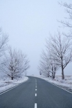 beautiful;bend;bends;calm;calmness;centre-line;centre-lines;centre_line;centre_lines;centreline;centrelines;Chill;Chilled;Chilly;clean;clear;cold;Coldness;Color;Colour;corner;corners;danger;Dangerous;Daytime;deciduous;driving;Exterior;extreme-weather;freeze;Freezing;freezing-fog;frost;Frosted;Frosty;frozen;high-country;highway;highways;hoar-frost;hoar-frosts;Hoarfrost;hoarfrosts;ice;ice-crystals;Ice_cold;icy;idyllic;Landscape;Landscapes;mackenzie;mackenzie-country;N.Z.;natural;Nature;New-Zealand;NZ;open-road;open-roads;Outdoor;Outdoors;Outside;peaceful;Peacefulness;phenomena;phenomenon;pure;Quiet;Quietness;rime;rime-ice;road;road-trip;roads;S.I.;Scenic;Scenics;season;seasonal;seasons;SI;silence;slippery;slippery-road;Snowy;South-Canterbury;South-Is;south-island;spectacular;stunning;tranquil;tranquility;transport;transportation;Transports;travel;Traveling;Travelling;Travels;tree;trees;Trip;Trips;Twizel;view;water;weather;White;winter;winter-driving;Winter-driving-conditions;Wintertime;wintery;wintry