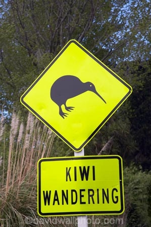B.O.P.;Bay-of-Plenty;BOP;dayglo;Kiwi-Sign;Kiwi-Signs;Kiwi-Wandering;Kiwi-Warning-Sign;Kiwi-Warning-Signs;N.I.;N.Z.;New-Zealand;NI;North-Is;North-Island;NZ;road-sign;road-signs;Wandering-Kiwi;yellow