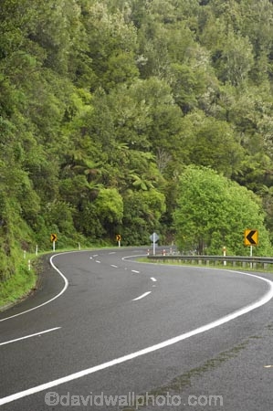 B.O.P.;Bay-of-Plenty;bend;bends;BOP;bush;centre-line;centre-lines;centre_line;centre_lines;centreline;centrelines;corner;corners;curve;curves;driving;forest;forests;highway;highways;N.I.;N.Z.;native;native-bush;natural;New-Zealand;NI;North-Is;North-Island;NZ;open-road;open-roads;road;road-trip;roads;s-bend;s-bends;s-curve;s-curves;state-highway-2;state-highway-two;transport;transportation;travel;traveling;travelling;trip;Waioeka-Gorge