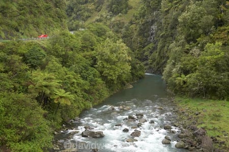 B.O.P.;Bay-of-Plenty;BOP;bush;car;cars;clean;clean-river;clean-rivers;clean-water;cyathea;fern;ferns;forest;forests;frond;fronds;N.I.;N.Z.;native;native-bush;natural;New-Zealand;NI;North-Is;North-Island;NZ;plant;plants;ponga;pongas;punga;pungas;rapids;red-car;river;rivers;Road;road-roads;roads;state-highway-2;state-highway-two;tranportation;transport;travel;traveling;travelling;tree-fern;tree-ferns;trip;trips;vehicle;vehicles;Waioeka-Gorge;Waioeka-River;water;white-water