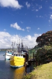boat;boats;commercial-fishing;fishing;fishing-boat;Fishing-Boats;new-zealand;north-is.;north-island;Tauranga;Tauranga-Harbour;trawler