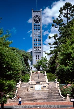 Christ-Church-Cathedral;Nelson-City;church;churches;religion;religions;steps;stair;stairs;step;tower;belltower;bell-tower;bell_tower;nelson;south-island;cathedrals;trees;historic;historical;trafalgar-street