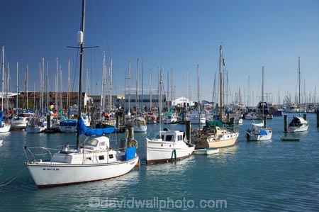 boat;boat-harbour;boat-harbours;boats;calm;calmness;coast;coastal;coasts;harbor;harbors;harbour;harbours;hull;hulls;marina;marinas;mast;masts;N.Z.;Nelson;Nelson-City;Nelson-Region;New-Zealand;NZ;peaceful;peacefulness;port;ports;S.I.;sail;sailing;SI;South-Is.;South-Island;still;stillness;tranquil;tranquility;yacht;yachts