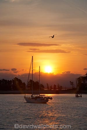 dusk;evening;Haulashore-Island;mast;masts;N.Z.;Nelson;Nelson-City;Nelson-Haven;Nelson-Region;New-Zealand;nightfall;NZ;orange;S.I.;seagull;seagulls;SI;sky;South-Is.;South-Island;sunset;sunsets;Tasman-Bay;twilight;Wakefield-Quay;yacht;yachts