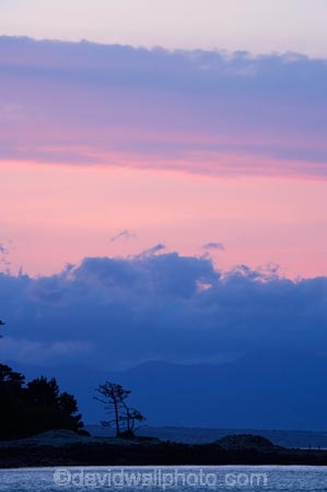 dusk;evening;Haulashore-Island;N.Z.;Nelson;Nelson-City;Nelson-Haven;Nelson-Region;New-Zealand;nightfall;NZ;pink;S.I.;SI;sky;South-Is.;South-Island;sunset;sunsets;Tasman-Bay;twilight;Wakefield-Quay