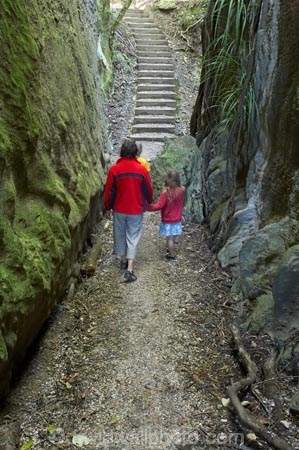 canyon;canyons;child;children;families;family;Golden-Bay;gorge;gorges;kids;limestone;model-release;model-released;mother;mothers;N.Z.;Nelson-Region;New-Zealand;NZ;path;paths;pathway;pathways;people;person;S.I.;SI;slot-canyon;slot-canyons;South-Is.;South-Island;Takaka;The-Grove;The-Grove-Scenic-Reserve;track;tracks;walkers;walking