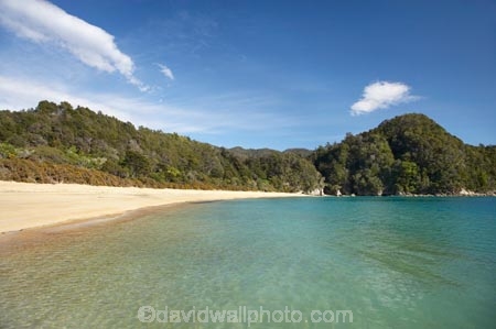 Abel-Tasman-Coast-Track;Abel-Tasman-Coastal-Track;Abel-Tasman-N.P.;Abel-Tasman-National-Park;Abel-Tasman-NP;beach;beaches;coast;coastal;coastline;golden-beach;golden-beaches;Golden-Sand;N.Z.;national-park;national-parks;Nelson-Region;New-Zealand;NZ;ocean;oceans;S.I.;sand;sandy;sea;seas;shore;shoreline;SI;South-Is.;South-Island;The-Anchorage;Torrent-Bay