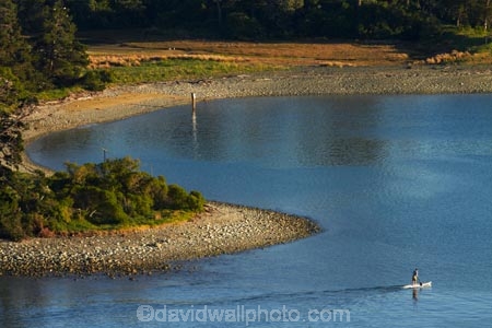 bay;bays;Harbour-Entrance;Haulashore-Island;island;islands;N.Z.;Nelson;Nelson-City;Nelson-District;Nelson-Haven;Nelson-Region;New-Zealand;NZ;paddle-boarder;paddle-boarders;paddle_boarder;paddle_boarders;paddleboarder;paddleboarders;S.I.;SI;South-Is;South-Is.;South-Island;Sth-Is;Tasman-Bay