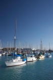 boat;boat-harbour;boat-harbours;boats;calm;calmness;coast;coastal;coasts;harbor;harbors;harbour;harbours;hull;hulls;marina;marinas;mast;masts;N.Z.;Nelson;Nelson-City;Nelson-Region;New-Zealand;NZ;peaceful;peacefulness;port;ports;S.I.;sail;sailing;SI;South-Is.;South-Island;still;stillness;tranquil;tranquility;yacht;yachts