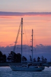 dusk;evening;Haulashore-Island;mast;masts;N.Z.;Nelson;Nelson-City;Nelson-Haven;Nelson-Region;New-Zealand;nightfall;NZ;pink;S.I.;SI;sky;South-Is.;South-Island;sunset;sunsets;Tasman-Bay;twilight;Wakefield-Quay;yacht;yachts