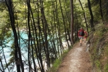 Abel-Tasman-Coast-Track;Abel-Tasman-Coastal-Track;Abel-Tasman-N.P.;Abel-Tasman-National-Park;Abel-Tasman-NP;Bark-Bay;beautiful;beauty;bush;child;children;endemic;families;family;forest;forests;green;hike;hiker;hikers;hiking;kids;model-release;model-released;mother;mothers;N.Z.;national-park;national-parks;native;native-bush;natives;natural;nature;Nelson-Region;New-Zealand;NZ;people;person;S.I.;scene;scenic;SI;South-Is.;South-Island;timber;tramp;tramper;trampers;tramping;tree;trees;trek;treker;trekers;treking;trekker;trekkers;trekking;walk;walker;walkers;walking;wood;woods