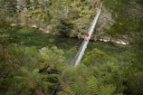 Abel-Tasman-Coast-Track;Abel-Tasman-Coastal-Track;Abel-Tasman-N.P.;Abel-Tasman-National-Park;Abel-Tasman-NP;beautiful;beauty;bridge;bridges;bush;endemic;estuaries;estuary;Falls-River;Falls-River-Bridge;Falls-River-Foot-Bridge;Falls-River-Inlet;Falls-River-Lagoon;Falls-River-Suspension-Bridge;Falls-River-Swing-Bridge;foot-bridge;foot-bridges;footbridge;footbridges;forest;forests;green;hiking-track;hiking-tracks;inlet;inlets;lagoon;lagoons;model-release;model-released;N.Z.;national-park;national-parks;native;native-bush;natives;natural;nature;Nelson-Region;New-Zealand;NZ;pedestrian-bridge;pedestrian-bridges;people;person;rivers;S.I.;scene;scenic;SI;South-Is.;South-Island;suspension-bridge;suspension-bridges;swing-bridge;swing-bridges;tidal;tide;timber;track;tracks;tree;trees;walking-track;walking-tracks;water;wire-bridge;wire-bridges;wood;woods