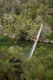 Abel-Tasman-Coast-Track;Abel-Tasman-Coastal-Track;Abel-Tasman-N.P.;Abel-Tasman-National-Park;Abel-Tasman-NP;beautiful;beauty;bridge;bridges;bush;endemic;estuaries;estuary;Falls-River;Falls-River-Bridge;Falls-River-Foot-Bridge;Falls-River-Inlet;Falls-River-Lagoon;Falls-River-Suspension-Bridge;Falls-River-Swing-Bridge;foot-bridge;foot-bridges;footbridge;footbridges;forest;forests;green;hiking-track;hiking-tracks;inlet;inlets;lagoon;lagoons;model-release;model-released;N.Z.;national-park;national-parks;native;native-bush;natives;natural;nature;Nelson-Region;New-Zealand;NZ;pedestrian-bridge;pedestrian-bridges;people;person;rivers;S.I.;scene;scenic;SI;South-Is.;South-Island;suspension-bridge;suspension-bridges;swing-bridge;swing-bridges;tidal;tide;timber;track;tracks;tree;trees;walking-track;walking-tracks;water;wire-bridge;wire-bridges;wood;woods