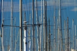 boat;boat-harbor;boat-harbors;boat-harbour;boat-harbours;boats;calm;coast;coastal;harbour;harbours;marina;marinas;mast;masts;Nelson;Nelson-City;Nelson-District;Nelson-Marina;Nelson-Region;New-Zealand;NZ;placid;quiet;reflected;reflection;reflections;S.I.;sail-boat;sail-boats;sailboat;sailboats;serene;smooth;South-Is;South-Island;Sth-Is;still;tranquil;water;yacht;yachts