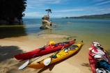 Abel-Tasman;Abel-Tasman-N.P.;Abel-Tasman-National-Park;Abel-Tasman-NP;adventure;adventure-tourism;boat;boats;canoe;canoeing;canoes;coast;coastal;coastline;coastlines;coasts;hot;kayak;kayaking;kayaks;N.Z.;national-park;national-parks;Nelson-Region;New-Zealand;NZ;ocean;oceans;red-kayak;red-kayaks;rock;S.I.;sea;sea-kayak;sea-kayaking;sea-kayaks;seas;shore;shoreline;shorelines;shores;South-Is;South-Island;Sth-Is;summer;swimmer;swimmers;Tasman-Bay;Tasman-District;teenager;teenagers;Tinline-Bay;tourism;tree;tree-on-rock;vacation;vacations;water;yellow-kayak;yellow-kayaks