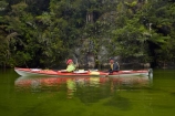 Abel-Tasman;Abel-Tasman-N.P.;Abel-Tasman-National-Park;Abel-Tasman-NP;adventure;adventure-tourism;boat;boats;bush;canoe;canoeing;canoes;estuaries;estuary;Falls-River;forest;green;inlet;inlets;kayak;kayaker;kayakers;kayaking;kayaks;lagoon;lagoons;M.R.;model-release;model-released;MR;N.Z.;national-park;national-parks;native-bush;Nelson-Region;New-Zealand;NZ;paddle;paddler;paddlers;paddling;people;person;S.I.;Sandfly-Bay;Sandfly-Bay-Lagoon;sea-kayak;sea-kayaker;sea-kayakers;sea-kayaking;sea-kayaks;South-Is;South-Island;Sth-Is;Tasman-Bay;Tasman-District;tidal;tide;tourism;tourist;tourists;vacation;vacations;water