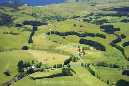 aerial;aerials;agricultural;agriculture;country;countryside;farm;farming;farmland;farms;field;fields;fruit;hedgerow;hedgerows;horticultural;horticulture;mangonui;meadow;meadows;new-zealand;north-is.;north-island;northland;paddock;paddocks;pasture;pastures;rural;windbreak;windbreaks