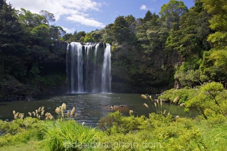 bay-of-islands;cascade;cascades;creek;creeks;falls;Kerikeri;natural;nature;new-zealand;north-is.;north-island;Northland;Rainbow-Falls;river;rivers;scene;scenic;stream;streams;water;water-fall;water-falls;waterfall;waterfalls;wet