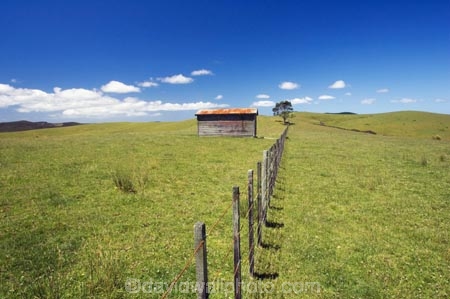 agricultural;agriculture;building;buildings;country;countryside;crop;crops;farm;farming;farmland;farms;fence;fenceline;fencelines;fences;field;fields;horticulture;meadow;meadows;new-zealand;north-is.;north-island;old-farm-shed;paddock;paddocks;pasture;pastures;rural;shed;sheds;tree;trees