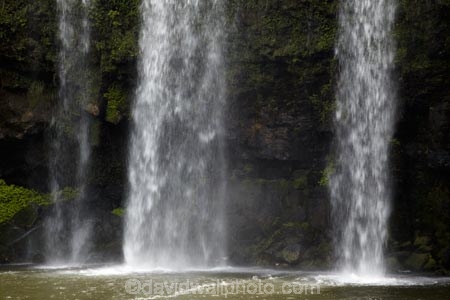 cascade;cascades;creek;creeks;falls;Hatea-River;N.I.;N.Z.;natural;nature;New-Zealand;NI;North-Is;North-Is.;North-Island;Northland;NZ;scene;scenic;stream;streams;Tikipunga;water;water-fall;water-falls;waterfall;waterfalls;wet;Whangarei;Whangarei-Falls;Whangarei-Waterfall