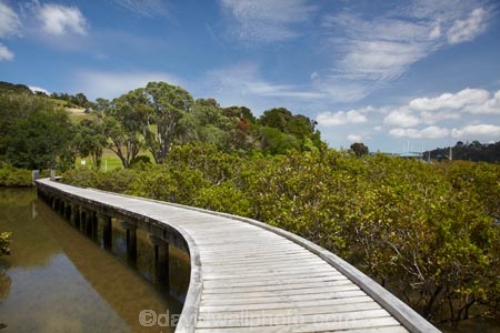 Auckland-Region;boardwalk;boardwalks;bridge;bridges;estuaries;estuary;foot-bridge;foot-bridges;footbridge;footbridges;hiking-track;hiking-tracks;inlet;inlets;lagoon;lagoons;mangrove;mangrove-boardwalk;mangrove-boardwalks;mangrove-swamp;mangrove-swamps;mangroves;N.I.;N.Z.;New-Zealand;NI;North-Is;North-Is.;North-Island;Northland;NZ;pedestrian-bridge;pedestrian-bridges;Rodney-District;Sandspit;tidal;tide;tides;track;tracks;walking-track;walking-tracks;Warkworth;water
