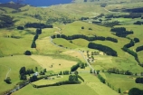 aerial;aerials;agricultural;agriculture;country;countryside;farm;farming;farmland;farms;field;fields;fruit;hedgerow;hedgerows;horticultural;horticulture;mangonui;meadow;meadows;new-zealand;north-is.;north-island;northland;paddock;paddocks;pasture;pastures;rural;windbreak;windbreaks