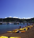 beach;beached;beaches;boat;boats;color;colour;harbor;harbour;kayak;kayaking;kayaks;paddle;shore;shoreline;water;yellow