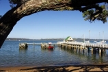 anchorage;beach;beaches;boat;boats;dock;dockside;jetties;jetty;moor;moored;new-zealand;north-is.;north-island;pier;piers;pohutukawa;pohutukawas;shore;shoreline;tree;trees;waterside;wharf;wharfes;wharves;yacht;yachts