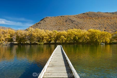 autuminal;autumn;autumn-colour;autumn-colours;autumnal;color;colors;colour;colours;deciduous;dock;docks;fall;gold;golden;jetties;jetty;lake;Lake-Benmore;lakes;leaf;leaves;N.Z.;New-Zealand;North-Otago;NZ;Otago;pier;piers;quay;quays;S.I.;Sailors-Cutting;Sailors-Cutting;season;seasonal;seasons;SI;South-Island;Sth-Is;Sth-Is.;tree;trees;Waitaki;Waitaki-District;Waitaki-Region;Waitaki-Valley;waterside;wharf;wharfes;wharves;willow;willow-tree;willow-trees;willows;yellow