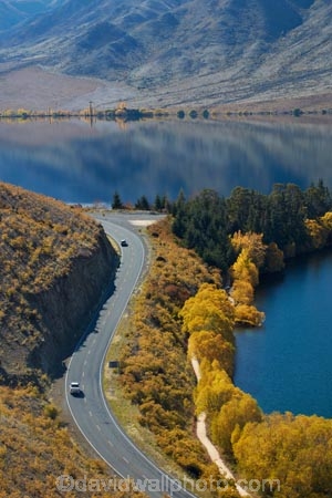 s-bend;s-bends;A2O;Alps-2-Ocean-cycle-trail;Alps-to-ocean-cycle-trail;autuminal;autumn;autumn-colour;autumn-colours;autumnal;bend;bends;Benmore-Ra;Benmore-Range;bike-track;bike-tracks;bike-trail;bike-trails;color;colors;colour;colours;corner;corners;curve;curves;cycle-track;cycle-tracks;cycle-trail;cycle-trails;cycleway;cycleways;deciduous;fall;gold;golden;highway;highways;lake;Lake-Benmore;lakes;leaf;leaves;N.Z.;New-Zealand;North-Otago;NZ;Omarama-Otematata-Highway;open-road;open-roads;Otago;road;roads;s-bend;s-bends;S.I.;Sailors-Cutting;Sailors-Cutting;season;seasonal;seasons;SI;South-Island;State-Highway-83;State-Highway-Eighty-Three;State-Highways;Sth-Is;Sth-Is.;tree;trees;Waitaki;Waitaki-District;Waitaki-Region;Waitaki-Valley;willow;willow-tree;willow-trees;willows;yellow