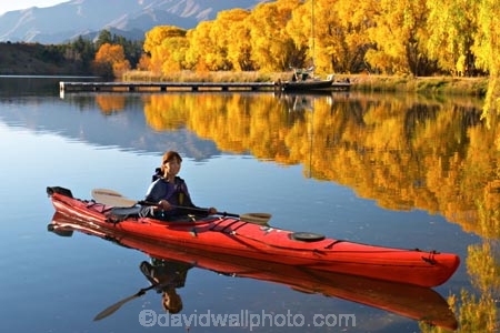 Autumn;blue;calm;calmness;canoe;canoeing;canoes;color;colors;colour;Colours;cyan;fall;kayak;kayaking;kayaks;lake;lake-Benmore;lakes;leaf;leaves;meridian;new-zealand;north-otago;outdoor;outdoors;outside;paddle;paddles;paddling;peaceful;peacefulness;people;person;quiet;quietness;recreation;red;reflection;reflections;rest;restful;restfulness;sailors-cutting;Sailors-Cutting;season;seasonal;seasons;silence;south-island;tranquil;tranquility;tree;trees;Waitaki-Valley;water;weeping-willow;weeping-willows;willow;willows;yellow;yellow-golden