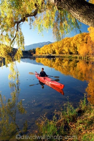 Autumn;blue;calm;calmness;canoe;canoeing;canoes;color;colors;colour;Colours;cyan;fall;kayak;kayaking;kayaks;lake;lake-Benmore;lakes;leaf;leaves;meridian;new-zealand;north-otago;outdoor;outdoors;outside;paddle;paddles;paddling;peaceful;peacefulness;people;person;quiet;quietness;recreation;red;reflection;reflections;rest;restful;restfulness;sailors-cutting;Sailors-Cutting;season;seasonal;seasons;silence;south-island;tranquil;tranquility;tree;trees;Waitaki-Valley;water;weeping-willow;weeping-willows;willow;willows;yellow;yellow-golden
